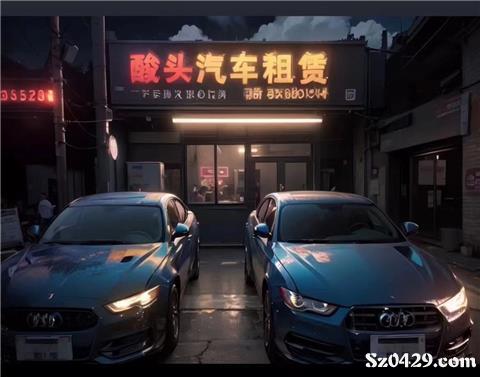 綏中酸頭汽車租賃 便捷出行，專業服務